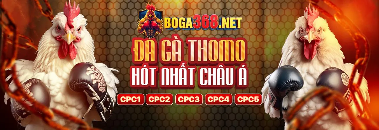Đá gà trực tuyến kịch tính tại game bài win79